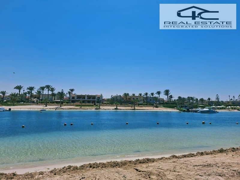 6 7084b0aa-1378-499c-9d83-b2cfa1a53859. jpg