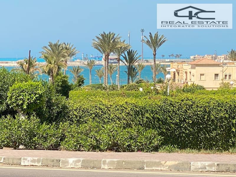 8 561339489_1212159907414566_2529402831792744979_n. jpg