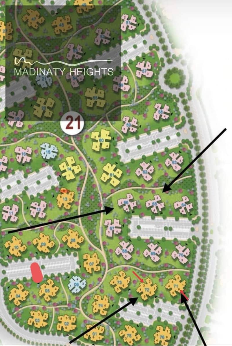 3 WhatsApp Image 2025-12-13 at 13.53. 36_4489a5c8. jpg