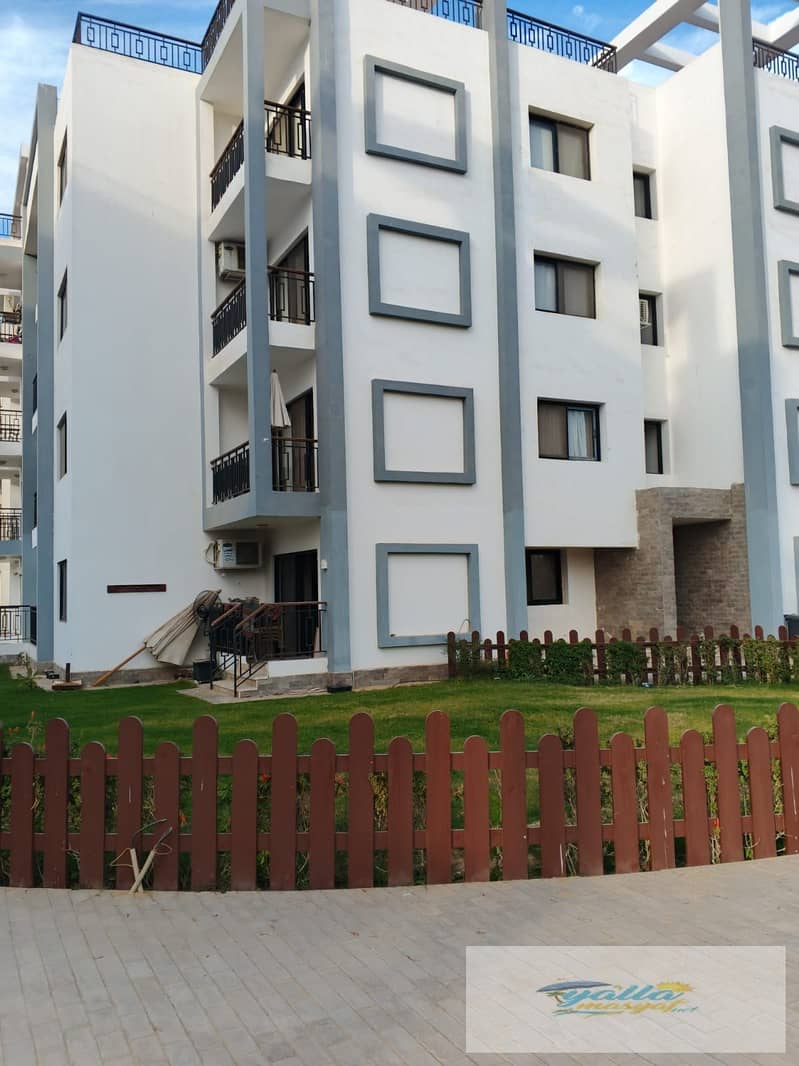 4 693d7e065c50d_WhatsApp-Image-2025-12-13-at-5.31. 35-AM. jpeg