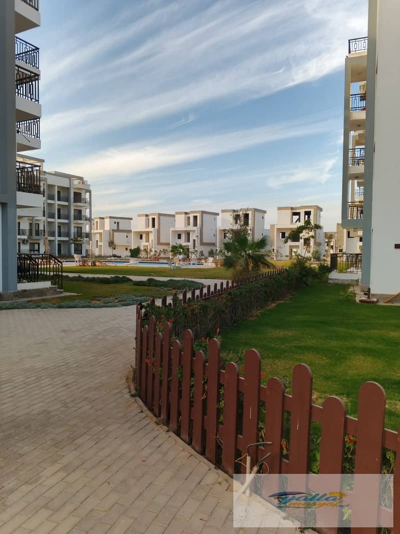 5 693d7e0724906_WhatsApp-Image-2025-12-13-at-5.31. 36-AM-(1). jpeg