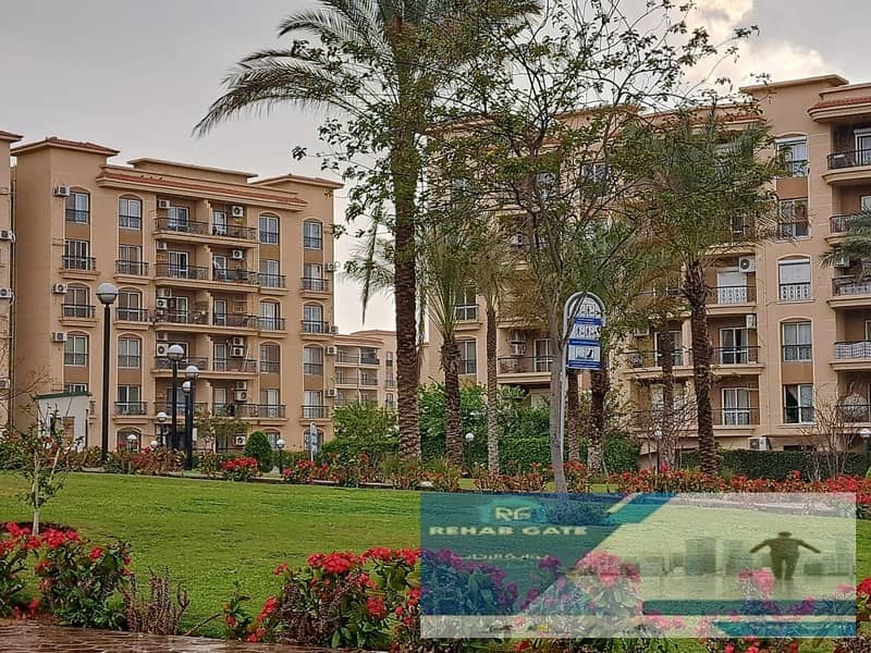 4 dbea5df8-b649-423f-b7c8-763e58248020. jpg