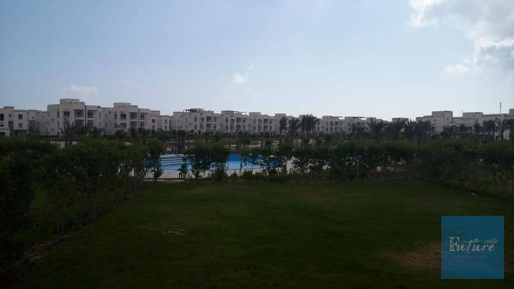 3 WhatsApp Image 2025-12-14 at 12.32. 34_a6df245d. jpg