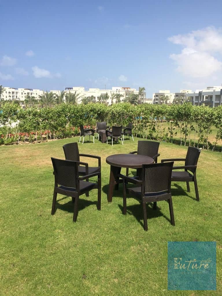 12 WhatsApp Image 2025-12-14 at 12.32. 36_d55a990a. jpg