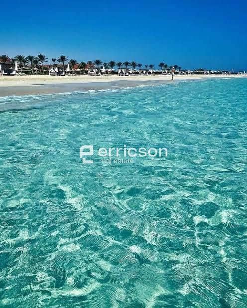 5 589305096_1901145124145891_4456475374454279703_n. jpg