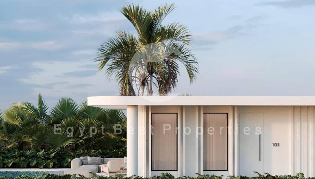 7 8c773b23-05e3-444e-b588-39c827cef42f. jpg