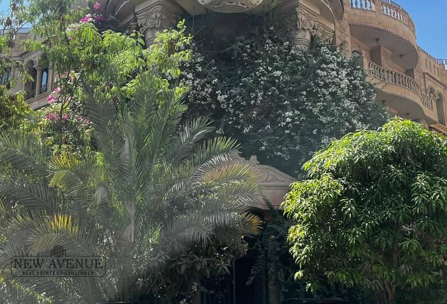 8 aee723e2-5f95-4923-acd1-e23966094603. jpg