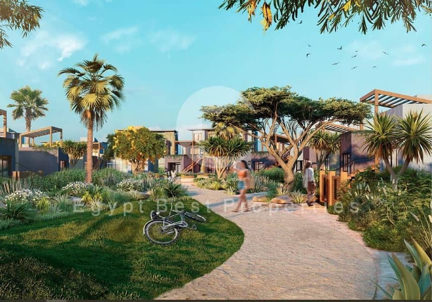 6 IMG-20241108-WA0092 - Copy. jpg