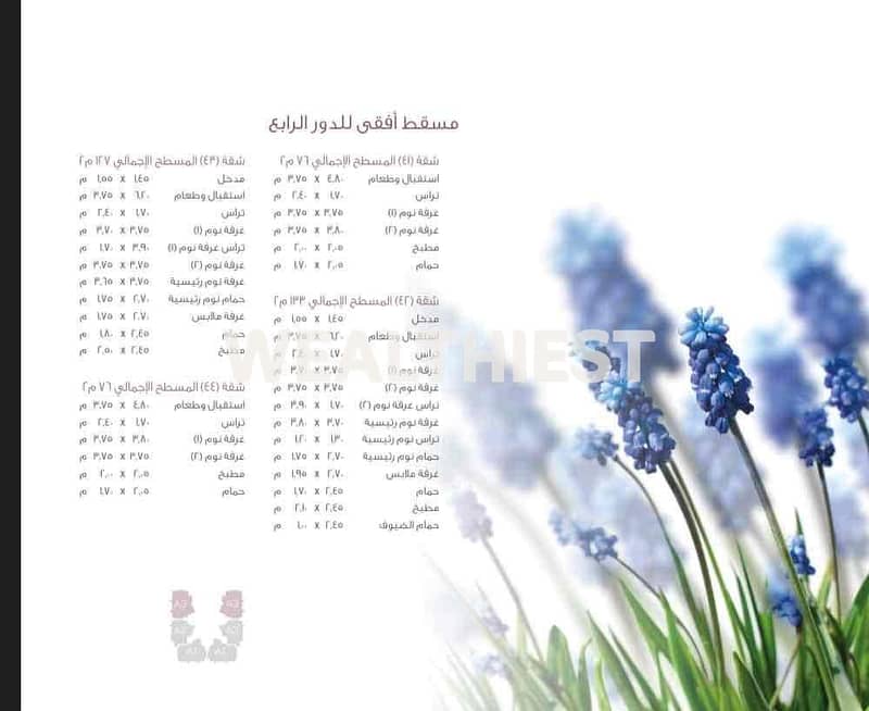 3 3c0d8537-f6f7-41bb-9917-0374e2dc86ac. jpg