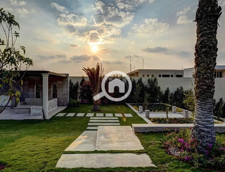 6 FB_IMG_1741514397234. jpg