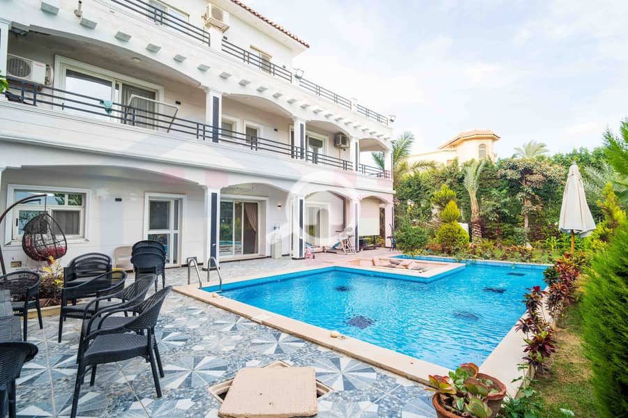 DSC02687. jpg DSC02687. jpg