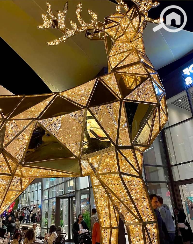 5 WhatsApp Image 2025-12-14 at 1.48. 22 PM (2). jpeg