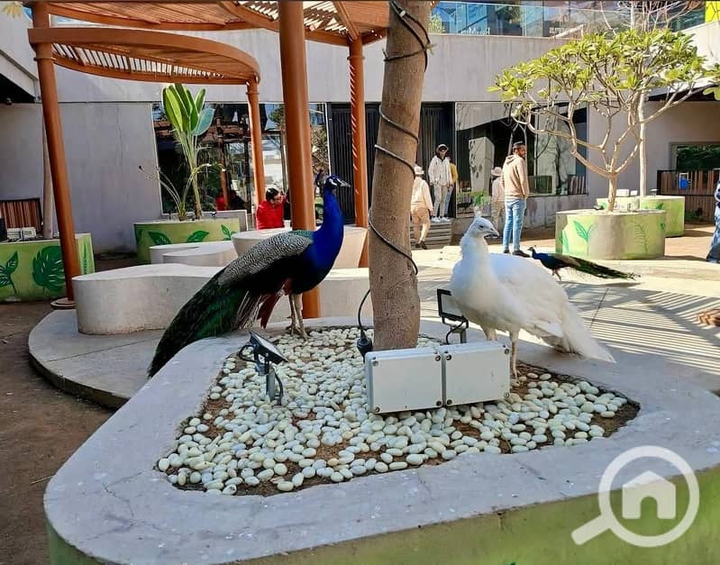 11 WhatsApp Image 2025-12-14 at 1.48. 24 PM (3). jpeg