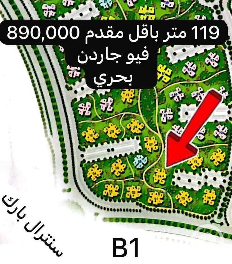 d2b441ea-4e52-4670-8c39-b78f9959904b. jpg d2b441ea-4e52-4670-8c39-b78f9959904b. jpg