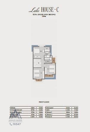 3 WhatsApp Image 2025-03-13 at 13.53. 35_d798238d - Mirna Wageh. jpg