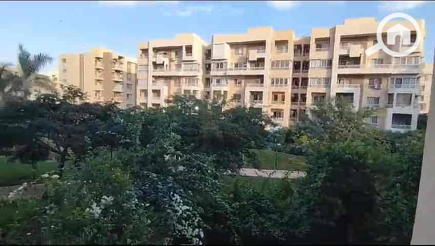 IMG_6485. jpg IMG_6485. jpg