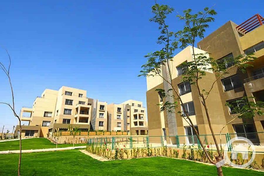 9 IMG-20241017-WA0010_900x600. jpg