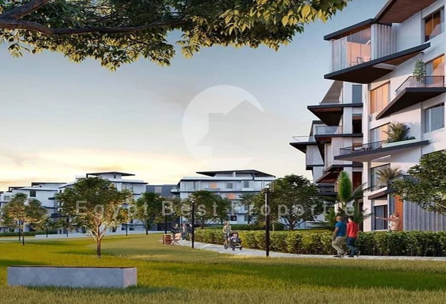 9 page-3-image-1-3. jpg