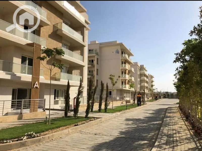 8 WhatsApp Image 2025-07-12 at 3.54. 18 PM (1). jpeg