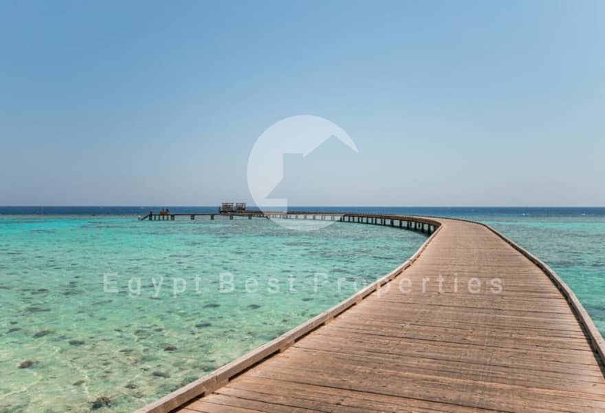 10 984e1b17-316e-4922-b034-cd8e1d76948a. jpg