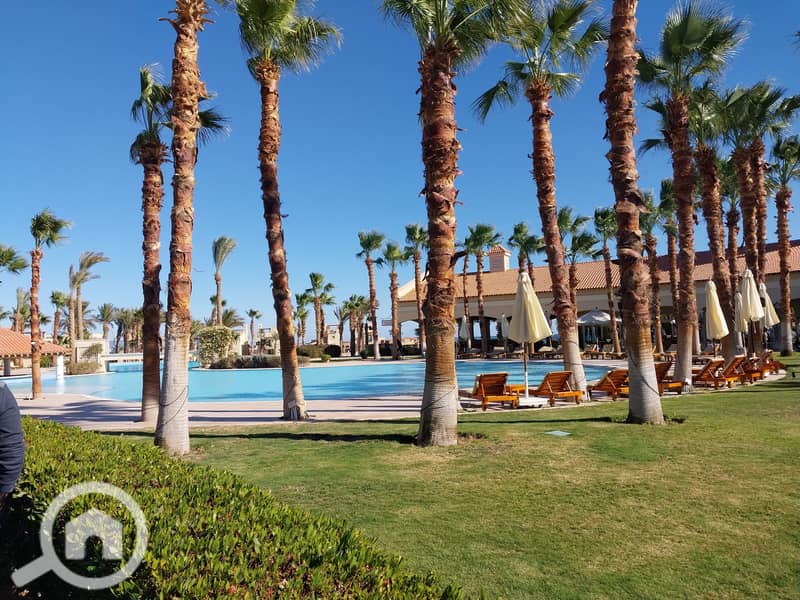 5 20240130_141650. jpg