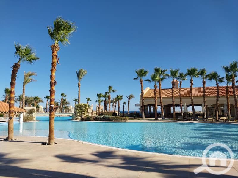 6 20240130_141715. jpg