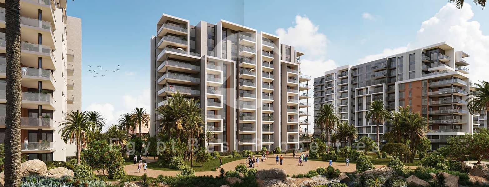 zed pic 555. png zed pic 555. png