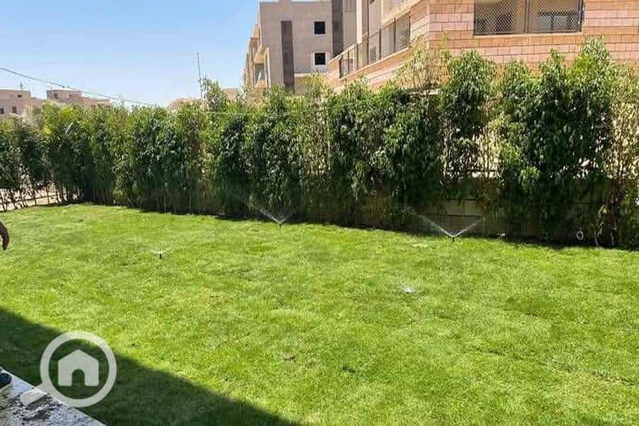 2 FB_IMG_1740050453802_900x600. jpg