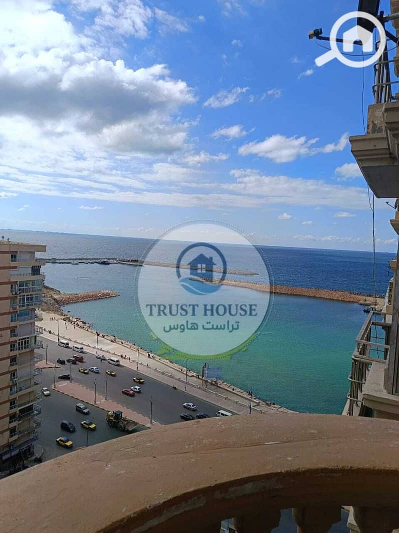 2 WhatsApp Image 2025-11-05 at 14.00. 57 (2). jpeg