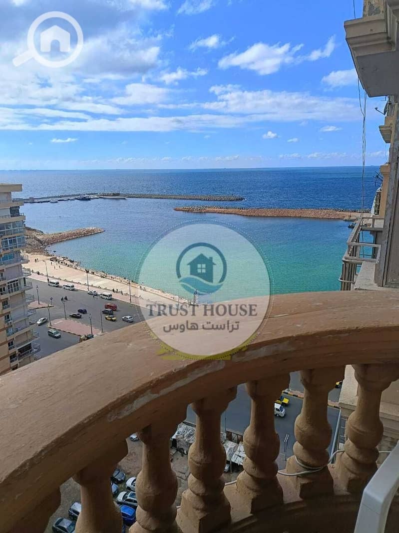 4 WhatsApp Image 2025-11-05 at 14.00. 57 (1). jpeg