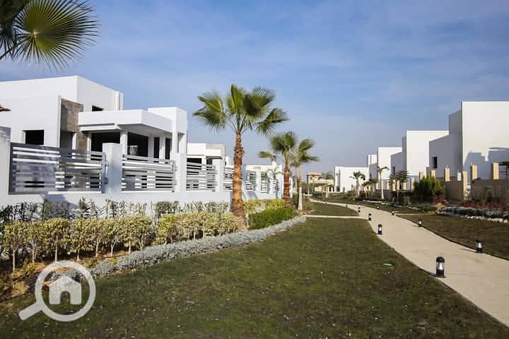 3 FB_IMG_1747484213779. jpg