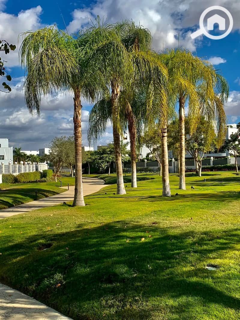 9 FB_IMG_1751897931758. jpg