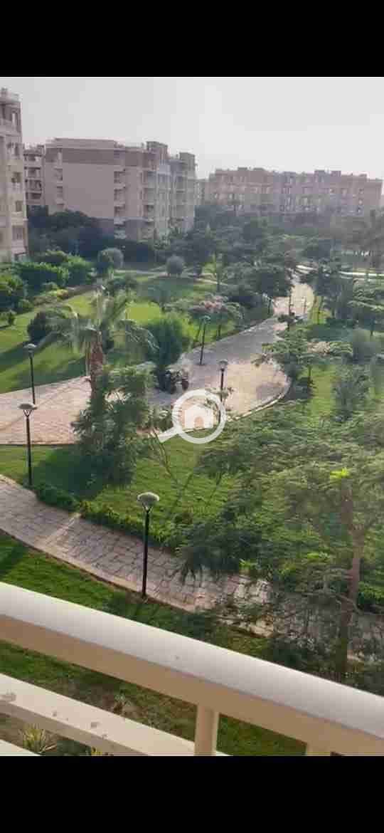 1001438982. jpg 1001438982. jpg