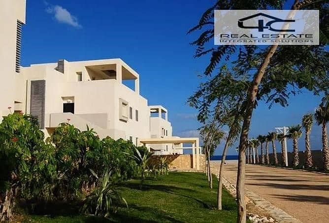 2 7844204-54cf2o. jpeg