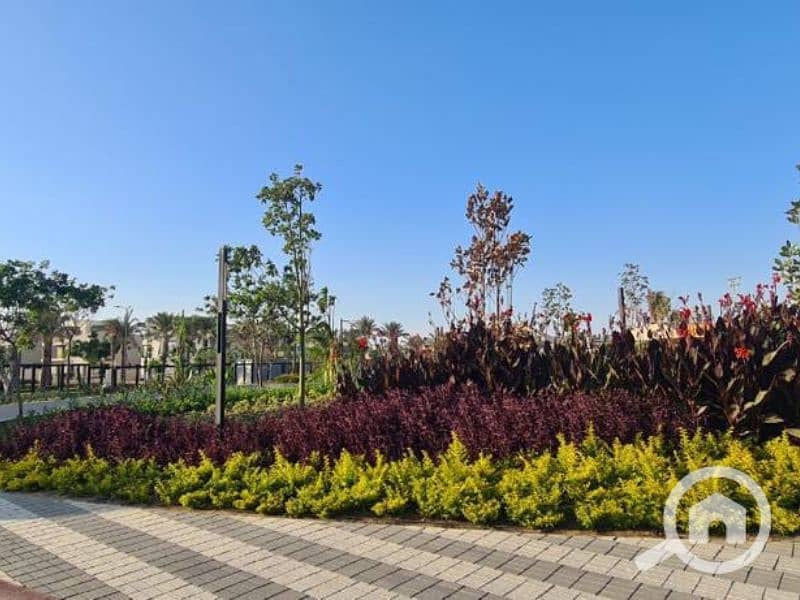 9 Untitled design (100). png