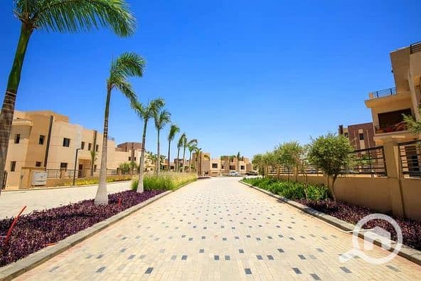 12 457220055_1223539345621472_3932140203237086814_n. jpg