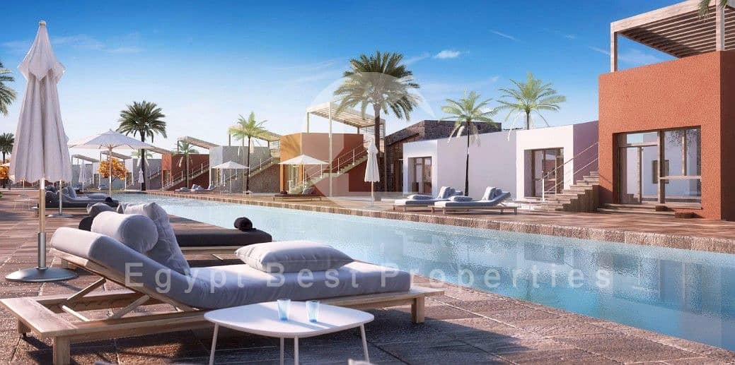 4 WhatsApp Image 2025-08-05 at 15.44. 43_f9c8a33f. jpg