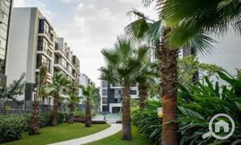 3 download (3). jpeg