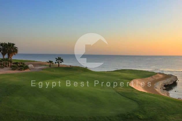 6 Screenshot 2025-08-05 003932. png