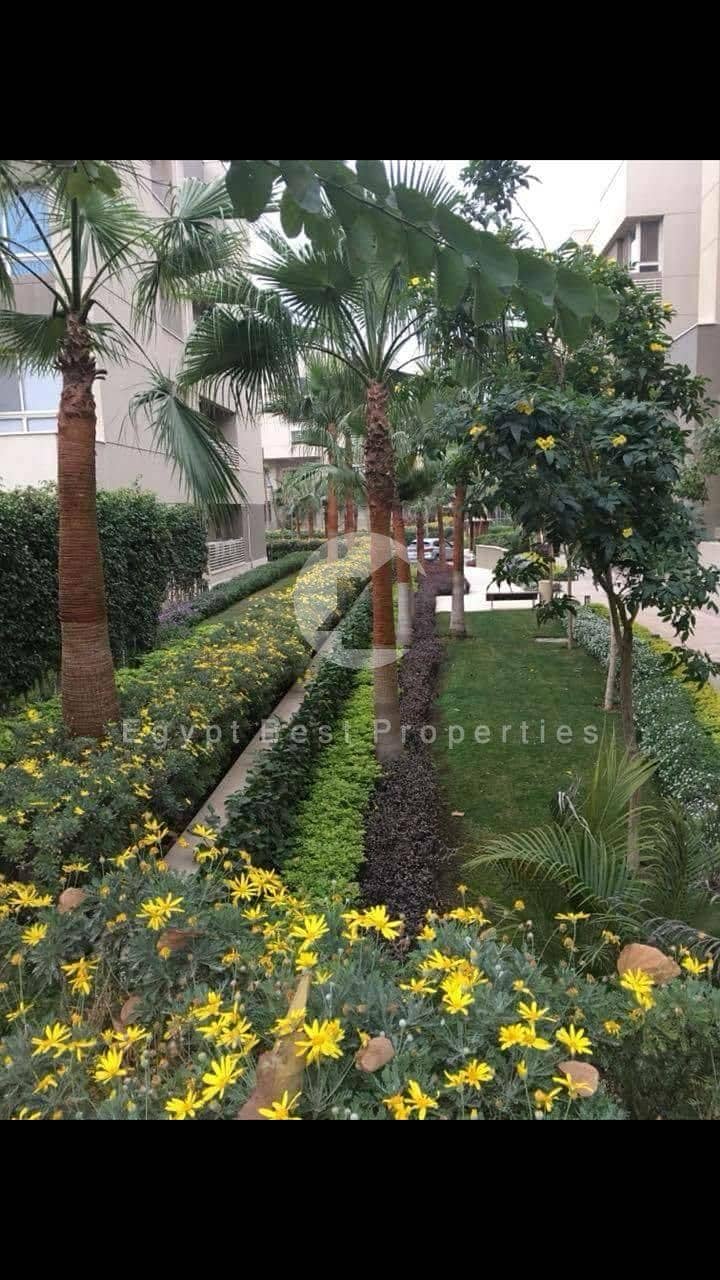 10 86942f27-1725-425e-9d1d-14e62694f684. JPG