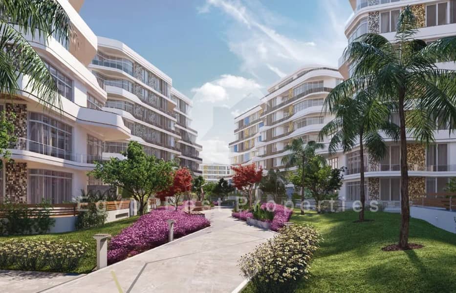 8 high (1) (Custom). jpeg