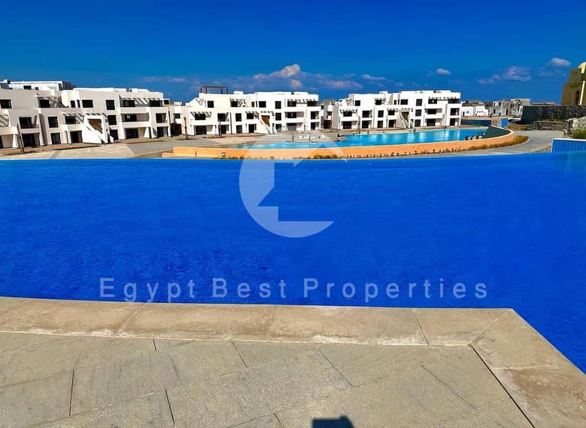 13 WhatsApp Image 2024-02-12 at 11.30. 56_f2179bb5. jpg