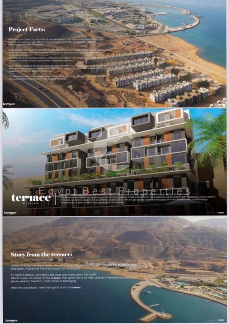 7 77cf0f79-1a6e-48f5-8190-657069f46322. jpeg