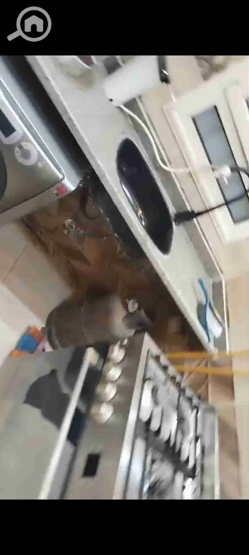 21 Screenshot_2025-12-14-15-35-31-32. jpg