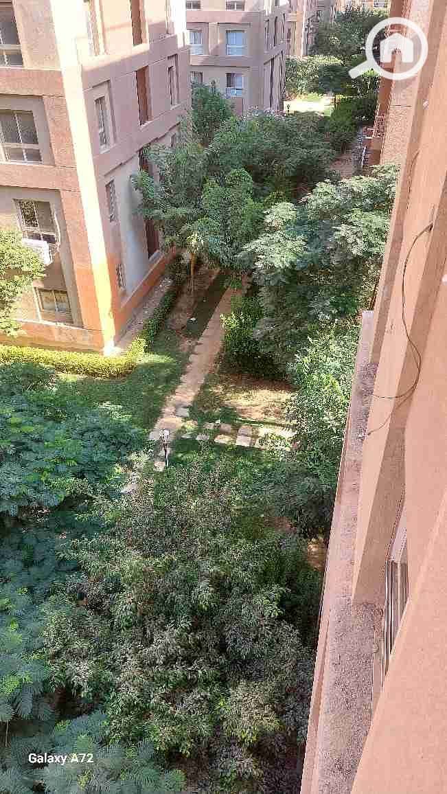 11 IMG-20251211-WA0067(1). jpg