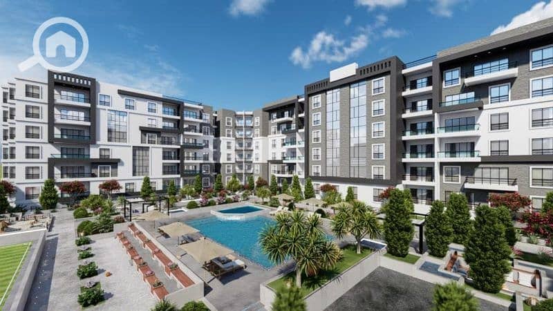 6 cb2b7ede-fe3a-4d5c-9a63-f7ee589a9179-scaled. jpg