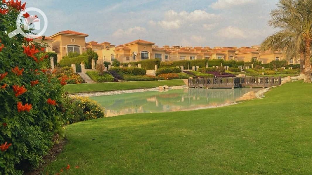 11 Stone Park Live Pics_page-0019. jpg