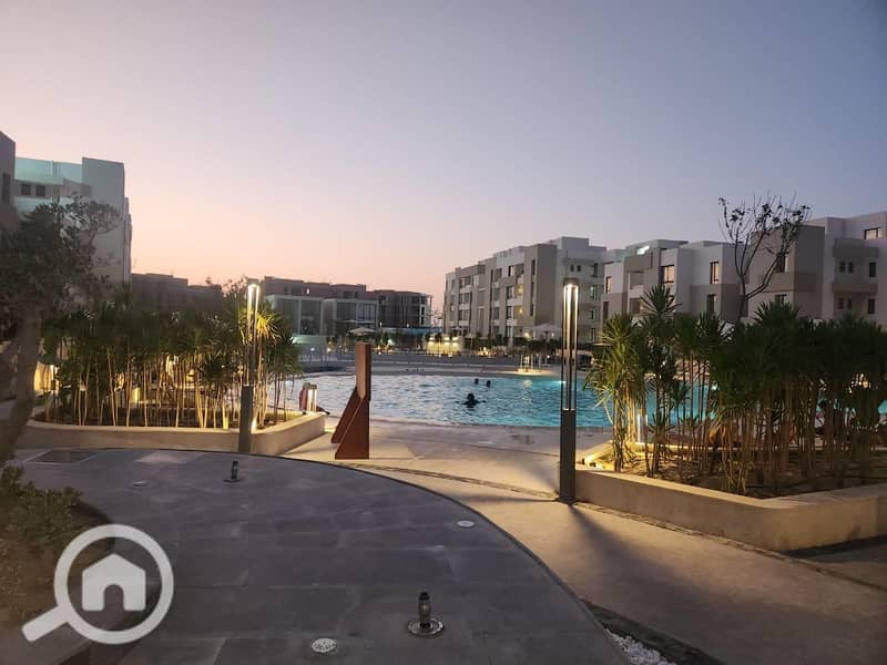 2 زهرههه . jpg