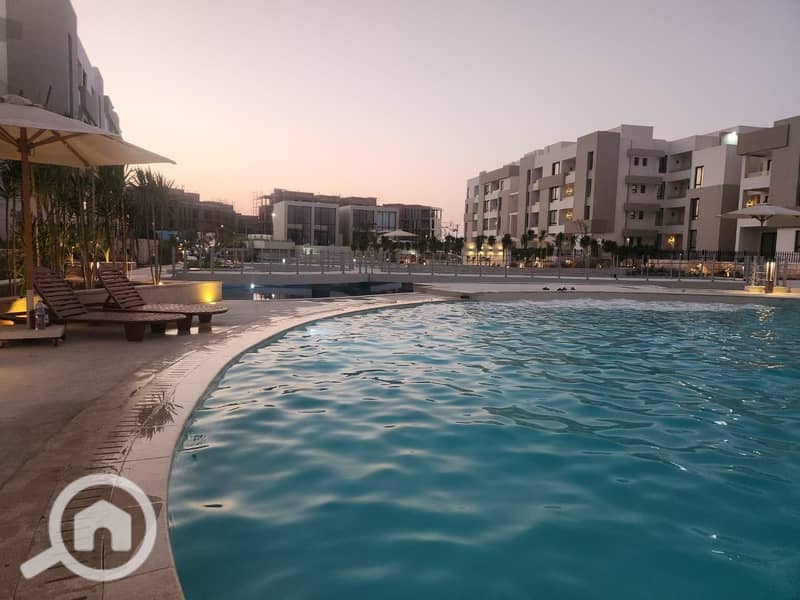 13 زهرههه . jpg