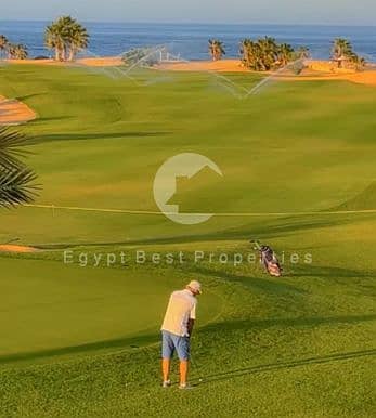 3 Screenshot 2025-05-26 144323 - Copy. png